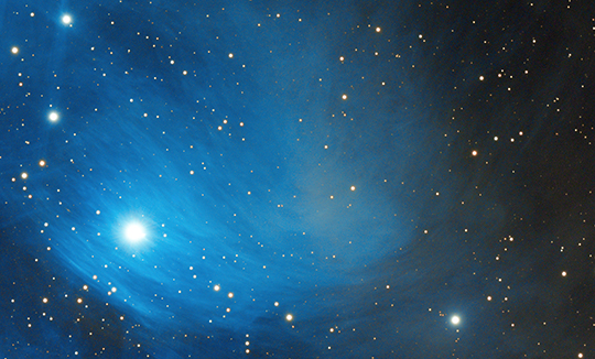 Davide Dalla Francesca